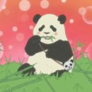 주식회사 플레이서 이미지