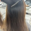 뉴마샬미용실 - 고양시 덕양구 | 안양역미용실 브라운 염색 : 칸델라헤어