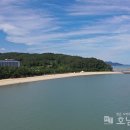 솔밭