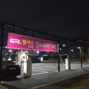 셀세모 이미지