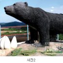 대륙사 이미지