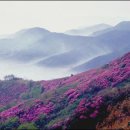 축제의 물결 이미지