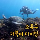 대만 소류구 스쿠버다이빙 - 한인샵 포포다이브(난파선,미인동)