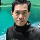 씨집시 네이버블로그