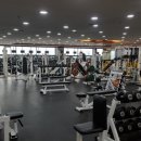 알통클럽 이미지