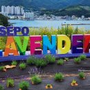 지세포해안로 이미지