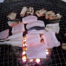 장어장터 이미지