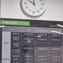 우주 덕(duck) 농장 | 강원도 동해 프리다이빙 원데이클래스 후기 우주프리다이빙 동해삼척점