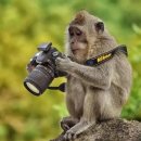 레트로 | 빈티지 디카 카시오 엑슬림 z2300 l 레트로베이 후기