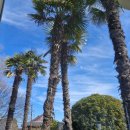 서울특별시 관악구 은천동주민센터 | 관악의 대전환 은천동 모아 타운 성공 전략 경전철 서부선 가시화 및 4870세대 매머드급 단지 탄생