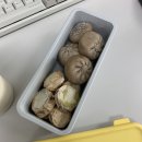 희어린 | 깨끗하게 맑게 자신있는 일상 🥬🥦🫑🥗