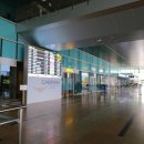 레몬카써비스 | 나트랑 공항픽업 그랩 보다는 렌트카 예약 추천 후기