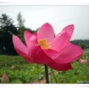 어리실천 이미지