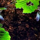 경이의세계 이미지