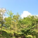 뜬봉샘농장 이미지