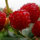 헐티로11길 이미지