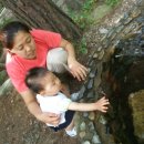 정옥이네 이미지