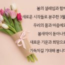 봄비경로당 네이버블로그