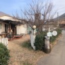 탄도민박 | 고령 오펠GC 라운딩