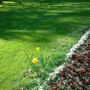 꽃보다 라인댄스 이미지