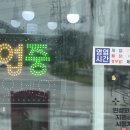 영월옹심이칼국수 이미지