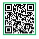 화도진공원 숲체험 QR "가을 열매 솔방울" 이미지