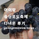 제11회 화성송산포도축제 다녀온 후기/ 아이랑 축제/ 주차장/ 포도가격/ 아쉬운후기