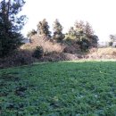 남원읍-126 이미지