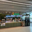 웰빙국내선약국 이미지