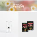 오아시송 | KT멤버쉽 VVIP 혜택 :: 꾸까(Kukka) 꽃다발 M 무료 주문 후기