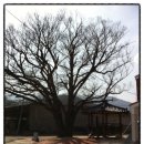 두산2리마을회관 이미지