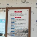 전금례닭볶음탕마곡