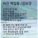 정보경 최종 이미지