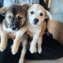 옥세차장 | 사는 게 컨텐츠 “아무도 안 물어봤지만 말함”