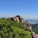 녹차밭약수터 이미지