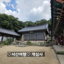 몽산화상육도보설 | ♡서산여행♡ 개심사 《상왕산 개심사 (象王山 開心寺)》_20250913