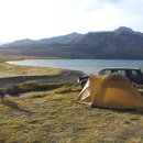 Into the Wild 이미지
