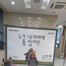 수성구립용학도서관 | 대구 용학도서관 &#39;누가 내 머리에 똥 쌌어?&#39; 뮤지컬 5세, 9세 무료관람 후기
