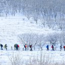 곰배령이야 이미지