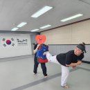 선 태권도 | [일산/파주] 성인 태권도 추천 가좌팀태권도에서 부부 취미로 운동 시작해본 솔직 후기