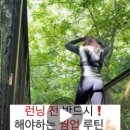 Must run 스피드 트레이닝 센터 | 런린이 탈출 일지 [4] 러닝 이론 기본