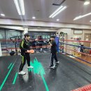 TEAM H BOXING 이미지