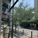 대건가크리닉 | 🫧😶‍🌫️AVEDA 상위10% 살롱 [라리엔 강남점]✨