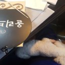 올리브트리네일