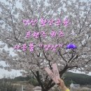 아이프렌즈엔터테인먼트(주) | 양산 황산공원 벚꽃 명소, 양산프렌즈 퀴즈 이벤트까지 즐긴 후기