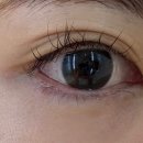 으뜸50안경 미사역점 이미지