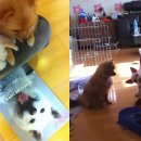 행복한일상 이미지