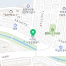 청주 애견유치원 꼬리흔들개Lucky 이미지