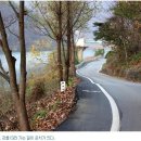 달천제방길 이미지