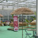 아라농장 | 🍓 어린이집 체험학습 어디 갈까? 아라딸기농장 다녀온 후기 (실내라 더 좋아요)